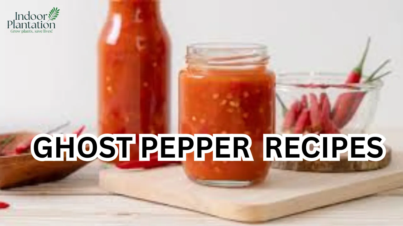 10 Easy Ghost Pepper Dishes for Bold Spice Lovers