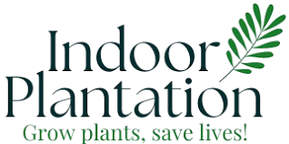 indoor Plantation logo