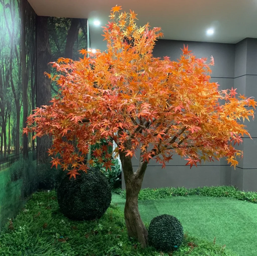 maple tree indoors