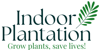 Indoor Plantation Logo