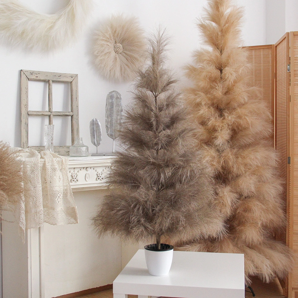 pampas grass